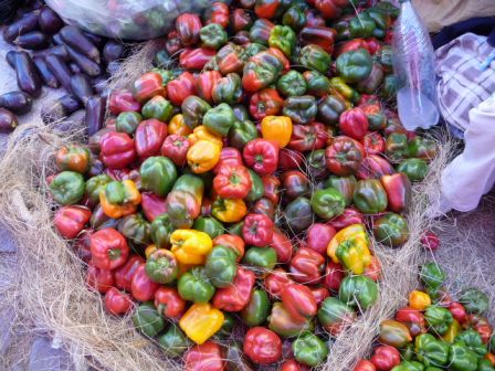 Couleurs au marche Bolivien.JPG